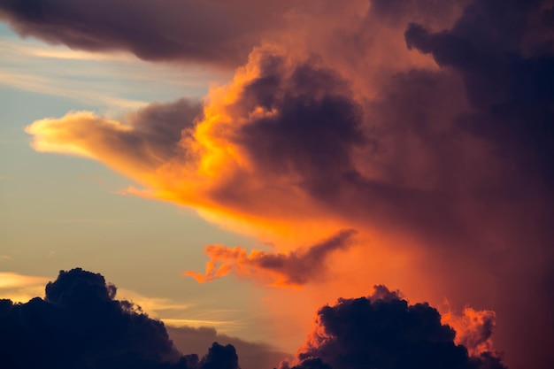 Vue à faible angle du ciel spectaculaire au coucher du soleil