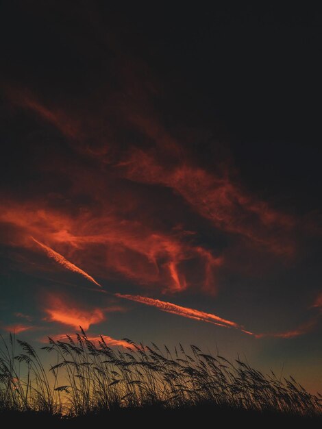 Vue à faible angle du ciel spectaculaire au coucher du soleil