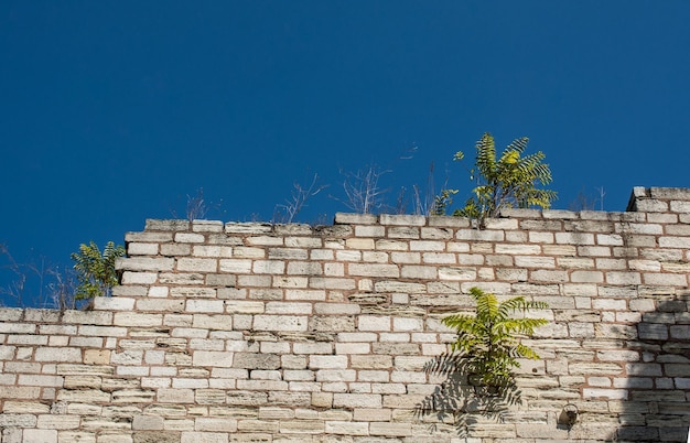 Photo vue à faible angle du mur de briques contre le ciel bleu