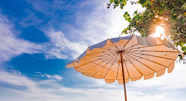 Vue à faible angle du parapluie contre le ciel