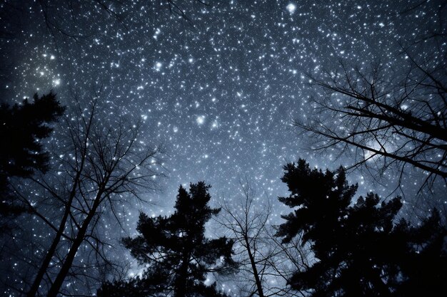 Photo vue à faible angle des étoiles dans le ciel la nuit