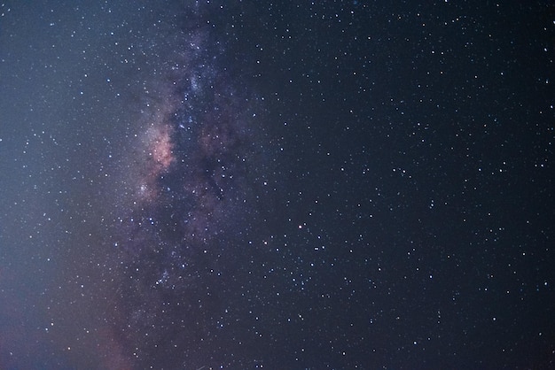Vue à faible angle des étoiles dans le ciel