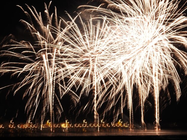 Photo vue à faible angle des feux d'artifice contre le ciel la nuit