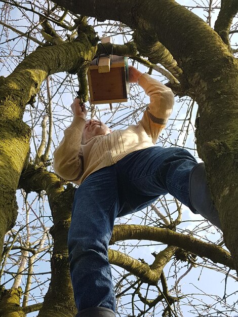 Photo vue à faible angle de l'homme debout près de la cabane d'oiseau sur l'arbre