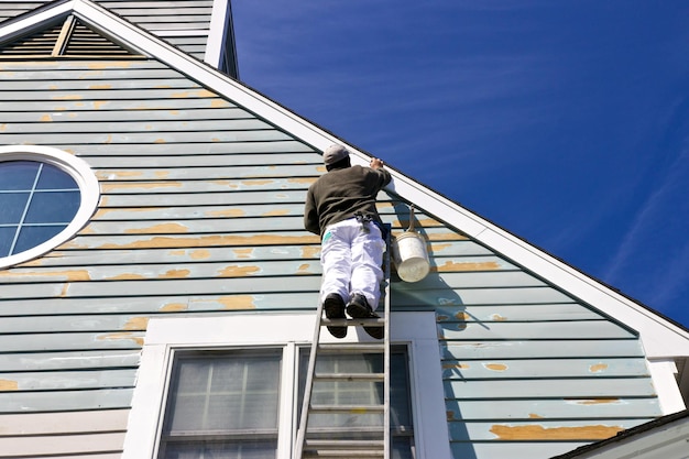 Vue à faible angle de l'homme peignant la maison alors qu'il se tient sur l'échelle