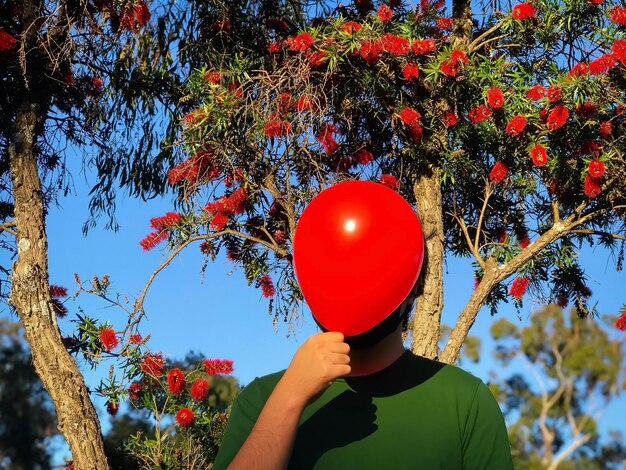 Photo vue à faible angle de l'homme tenant un ballon rouge contre un arbre en fleurs