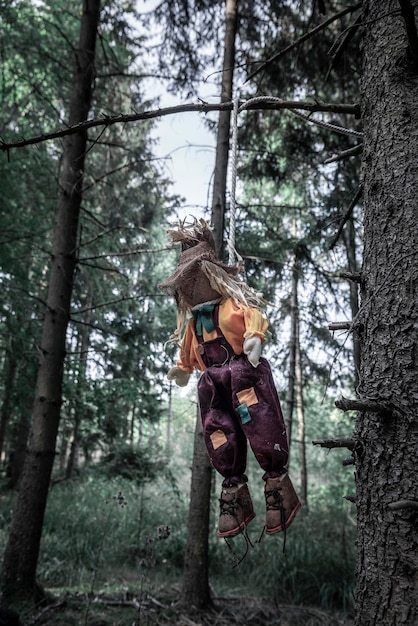 Photo vue à faible angle d'un jouet en peluche attaché à une corde suspendu à une branche d'arbre dans la forêt