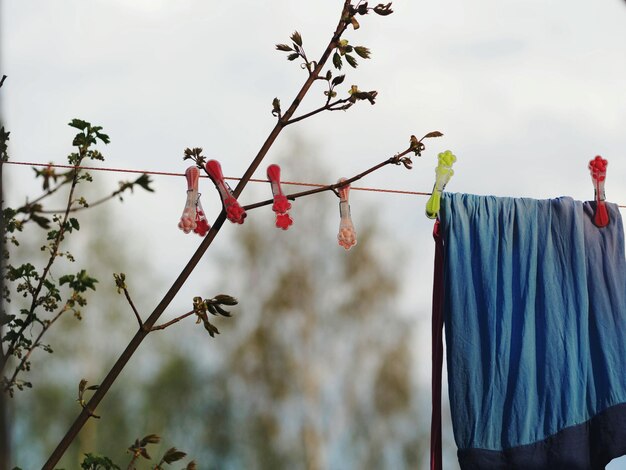 Photo vue à faible angle de la lessive accrochée à la corde à linge contre le ciel