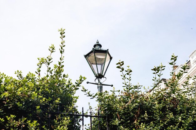 Photo vue à faible angle de la lumière de la rue contre le ciel