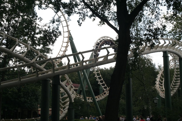 Photo vue à faible angle de la montagne russe au milieu des arbres dans un parc d'attractions