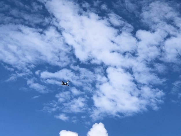 Photo vue à faible angle d'un oiseau volant dans le ciel