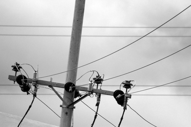 Photo vue à faible angle des oiseaux perchés sur un câble contre le ciel