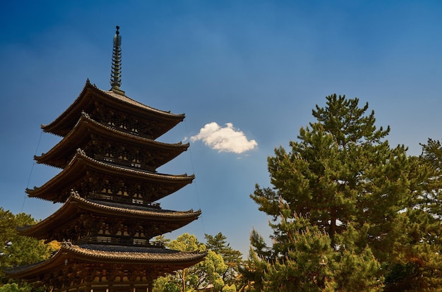 Vue à faible angle de la pagode kofuku-ji par les arbres contre le ciel