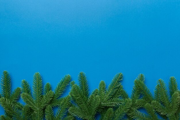 Vue à faible angle des plantes sur un ciel bleu clair