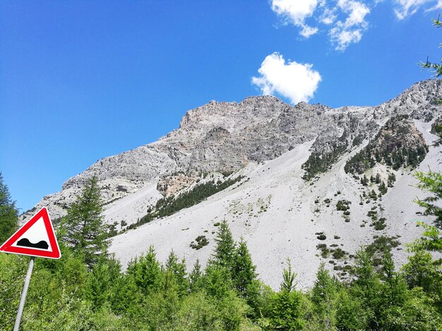 Photo vue à faible angle de la route au milieu des plantes contre le ciel