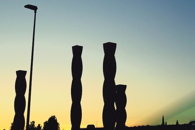 Photo vue à faible angle des silhouettes d'arbres sur un ciel clair au coucher du soleil