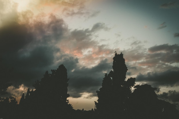 Vue à faible angle des silhouettes d'arbres sur un ciel nuageux