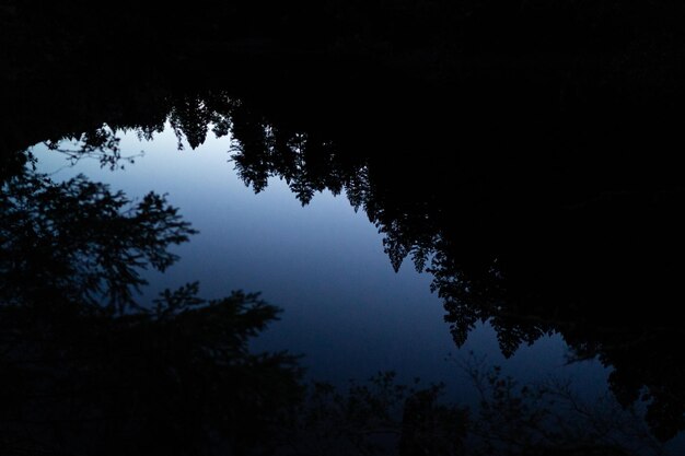 Photo vue à faible angle des silhouettes d'arbres contre le ciel la nuit