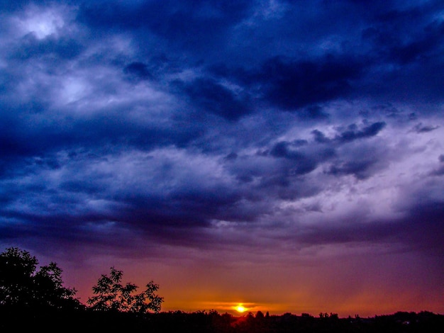 Vue à faible angle des silhouettes d'arbres contre un ciel spectaculaire.