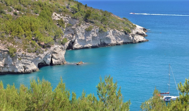 Vue sur la falaise couverte d'arbres verts dans une mer bleu turquoise dans le parc Gargano Pouilles Italie