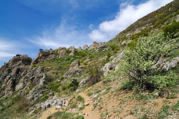 Vue sur les falaises du haut de la montagne