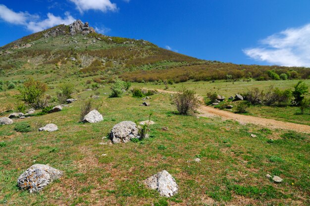 Vue des falaises du haut de la montagne