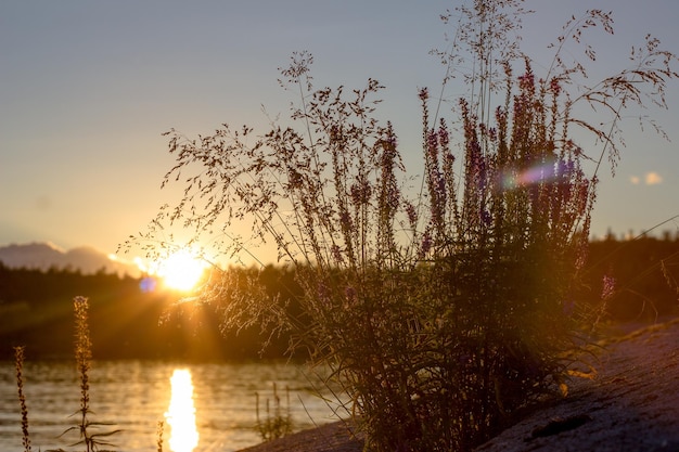 vue sur les falaises de Ladoga au coucher du soleil dans la république de carélie. Photo de haute qualité