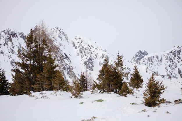 Vue fantastique sur la crête des alpes européennes dans la station de ski d'hiver chamonix montblanc france