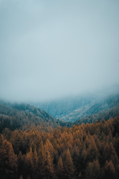 Une vue fantastique sur le lac de mortirolo, près de brescia