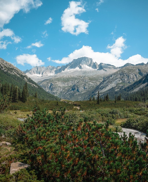 Vue fantastique sur le val di fumo et le lac daone