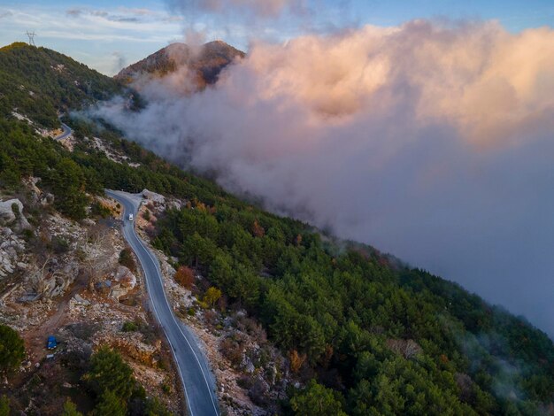 vue fascinante sur les nuages et la forêt sur la vallée