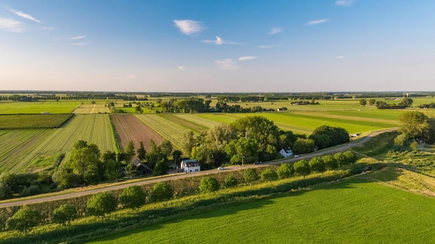 Vue fascinante sur le paysage des polders hollandais par une journée ensoleillée près du village de Herwijnen