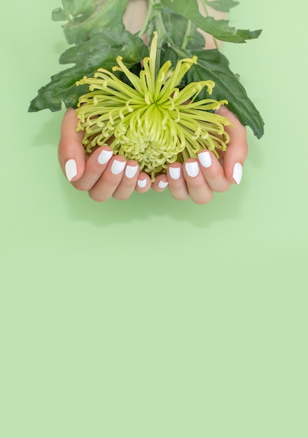 Vue de femme avec fleur sur fond vert traitement de Spa