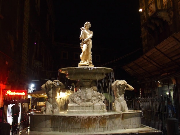 Vue de la fontaine d'Amenano la nuit Catane Sicile