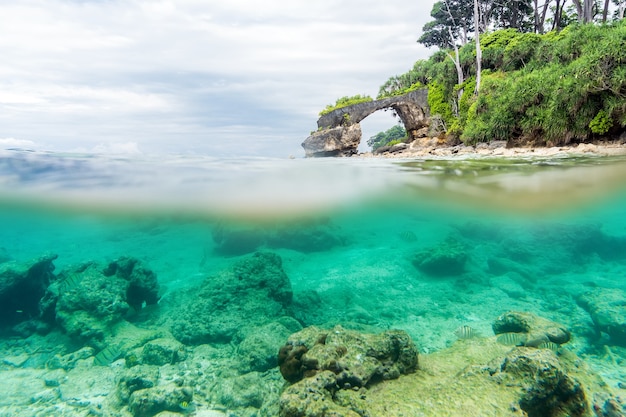 Vue fractionnée sur et sous la surface de la mer avec un rivage tropical luxuriant au-dessus de la ligne de flottaison et des coraux avec du sable sous l'eau. pont de pierre naturelle sur le rivage. la vie dans la réserve de la mer d'Andaman. Océan Indien