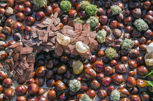 Photo vue des fruits sous un angle élevé