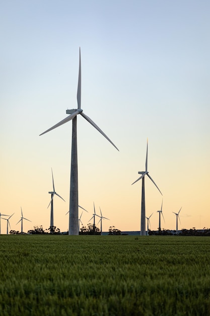 Vue générale des éoliennes dans un paysage de campagne avec un ciel sans nuages. environnement, durabilité, écologie, énergies renouvelables, réchauffement climatique et sensibilisation au changement climatique.