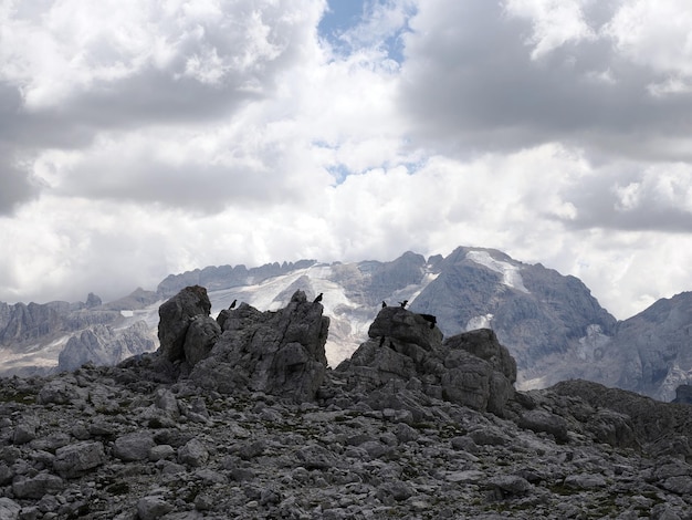 vue sur le glacier des dolomites marmolada depuis le panorama de corvara