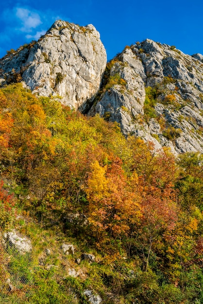 Vue sur les gorges du Danube à Djerdap à la frontière serbo-roumaine
