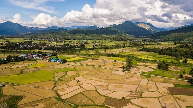 Vue grand angle du champ en Thaïlande