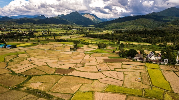 Photo vue grand angle du champ en thaïlande