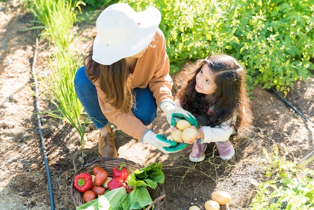 Vue grand angle de la famille prenant soin des légumes du jardin dans le jardin