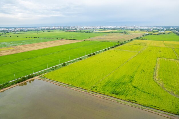 Vue grand angle de la ferme cultiver des plantes beau paysage