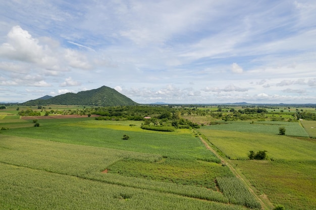 Vue grand angle de la ferme cultiver des plantes beau paysage