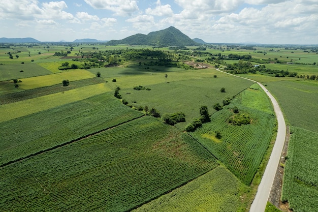 Vue grand angle de la ferme cultiver des plantes beau paysage