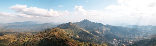 Vue grand angle sur la forêt et les montagnes en étéarbres et forêt le soir