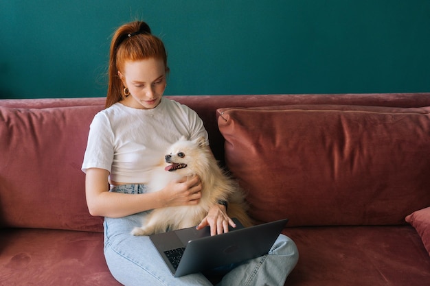 Vue Grand Angle D'une Jeune Femme Rousse Concentrée Utilisant La Frappe Sur Un Ordinateur Portable Assis Sur Un Canapé Confortable Câlinant Un Mignon Petit Chien Spitz Blanc