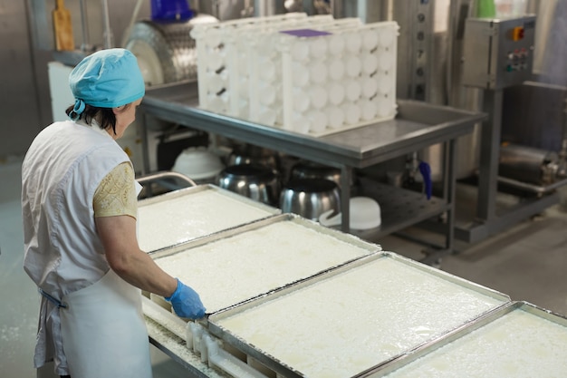 Vue grand angle sur une travailleuse contrôlant la production de fromage dans une usine alimentaire industrielle, espace de copie