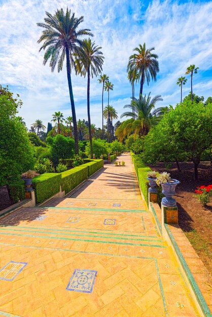 Photo vue sur grand et beau jardin - jardins de l'alcazar royal de séville et galerie de la grotte