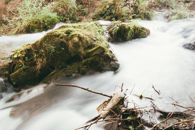 Vue à haut angle de la cascade dans la forêt